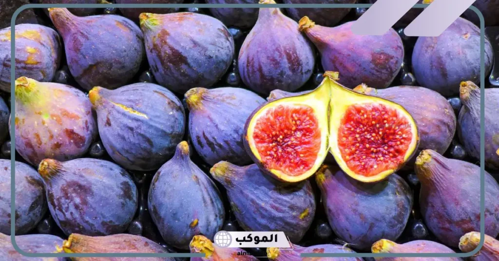 تفسير حلم اكل التين في المنام للمرأة المتزوجة والرجل من على الشجرة 6 رؤية أكل التين في المنام للمتزوجة