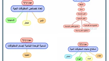 أنواع التكاثر وخصائصه