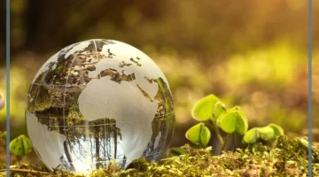 أنواع الموارد الطبيعية