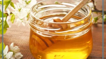 أهم تفسيرات حلم اكل العسل