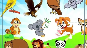 أهمية الحيوانات في حياتنا