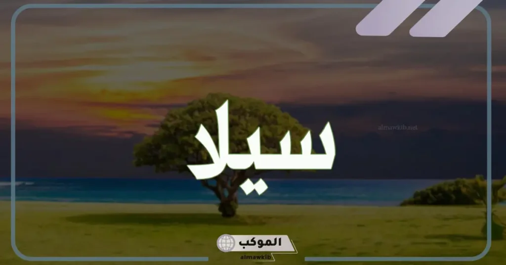 ما هو معنى اسم سيلا في القران الكريم وأصله.. عيوب اسم سيلا واسم الدلع 6 دلع اسم سيلا