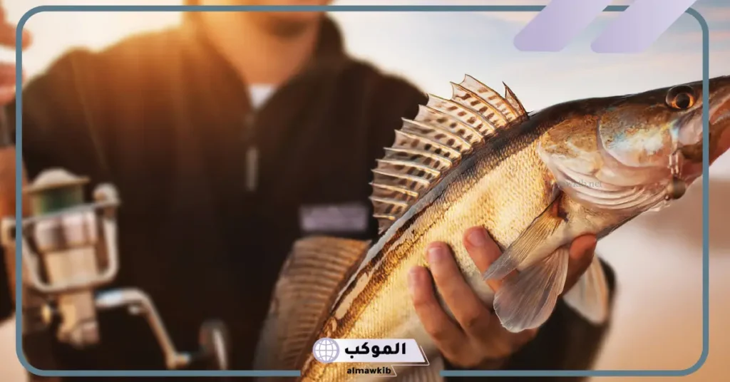 تفسير حلم صيد السمك للمتزوجة