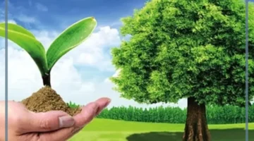 البيئة وأنظمتها