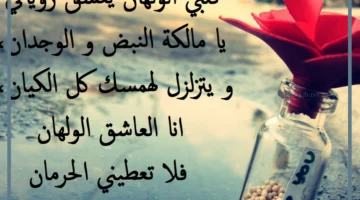 التعبير عن حب الزوج