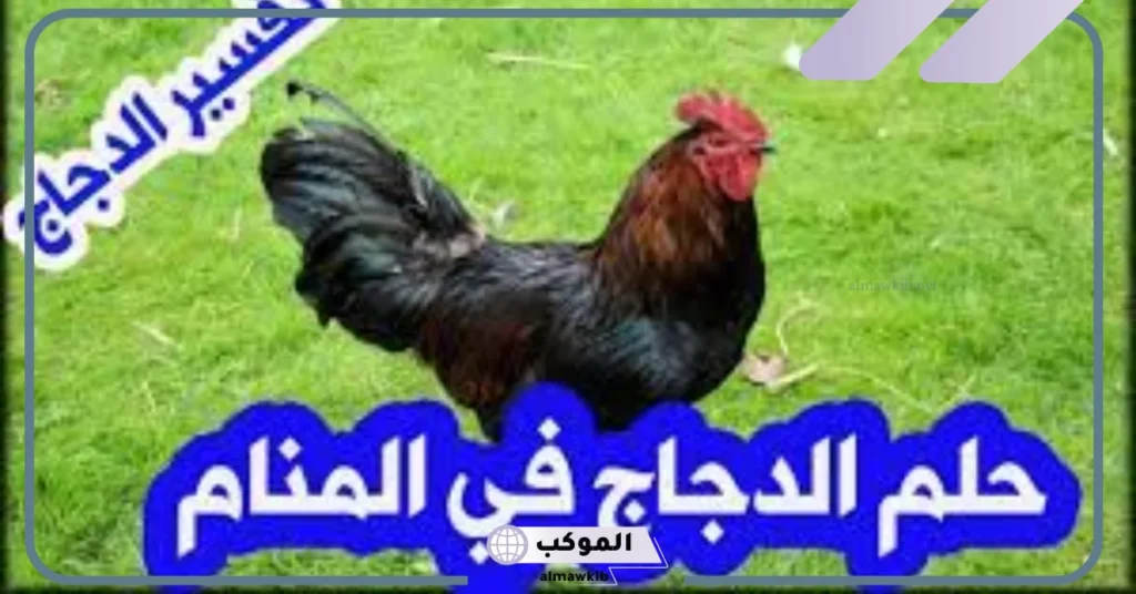 الدجاج في المنام للعزباء