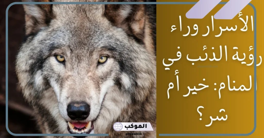 رؤية الذئب في المنام للرجل