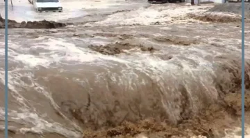 السيل الخفيف في المنام