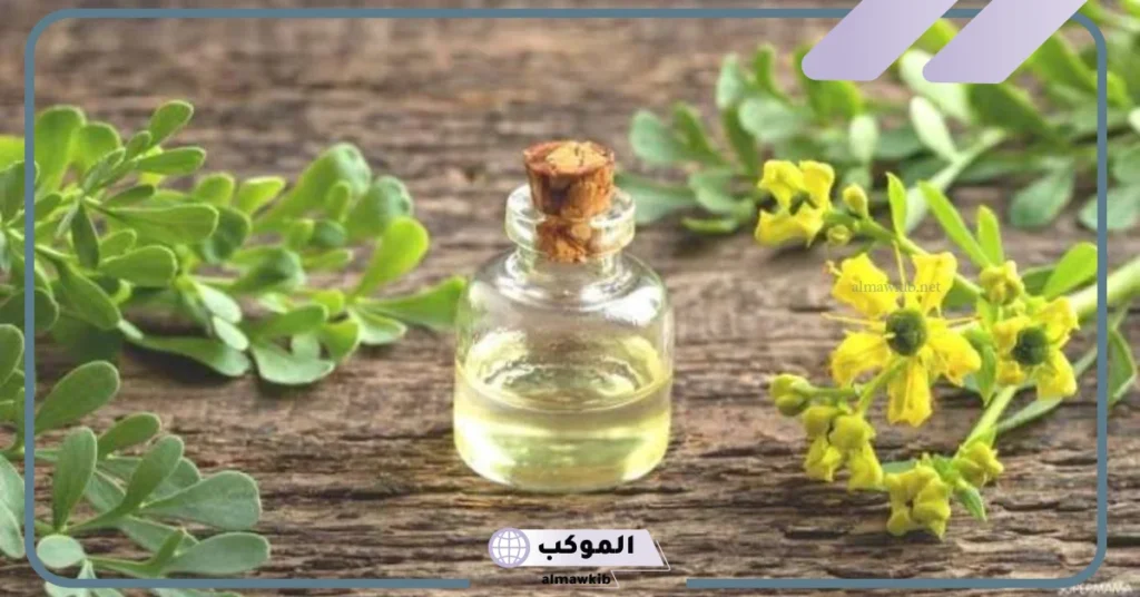 فوائد زيت الشذاب للوجه