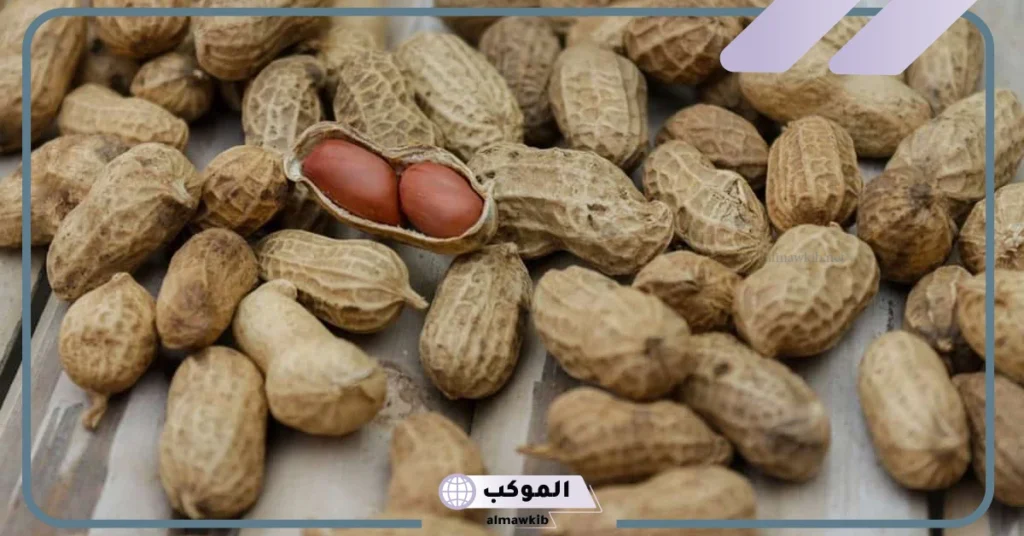 تفسير أكل الفول السوداني في المنام للرجل والمراة المتزوجة والعزباء 6 رؤية الفول السوداني في المنام للعزباء