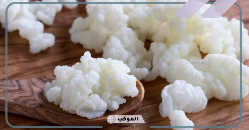 فوائد الكفير 