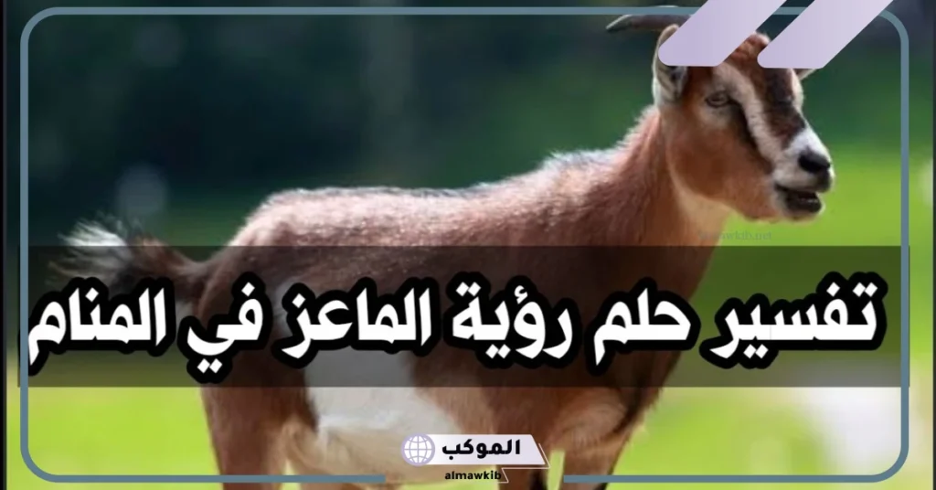 تفسير حلم الماعز في المنام للمتزوجة والحامل والرجل لابن سيرين 6 رؤية الماعز في المنام للعزباء