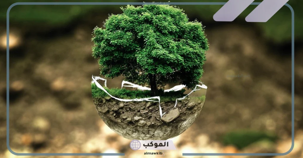 ما الأسم العلمي للأنظمة البيئية الرئيسية على الأرض 5 أمثلة على المناطق الحيوية