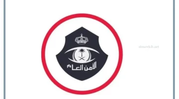 بدلات الأمن العام