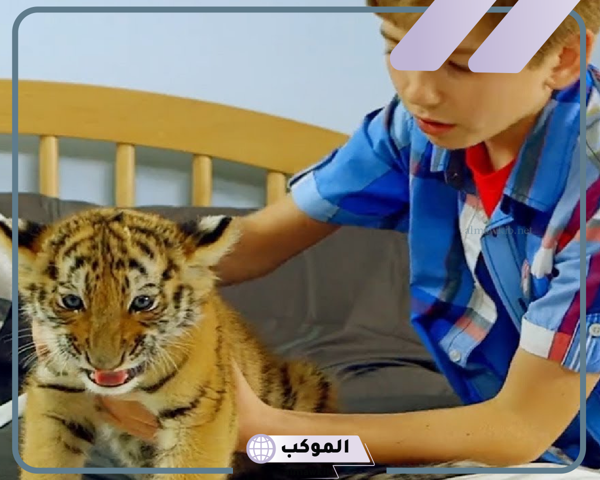 صغير النمر