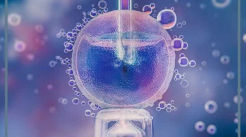 ترجيع الأجنة