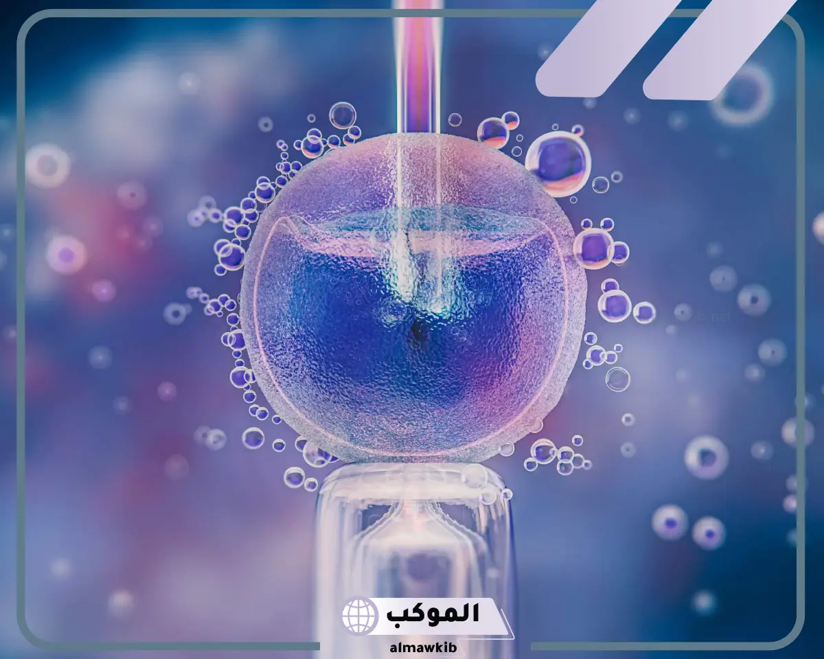 نسبة هرمون الحمل في اليوم 12 من الترجيع عالم حواء