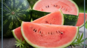 تفسير البطيخ الاحمر