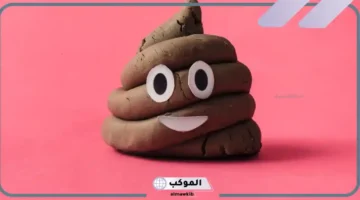 تفسير حلم البراز على الأرض