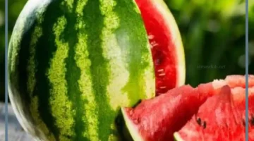 تفسير حلم الحبحب في المنام لابن سيرين