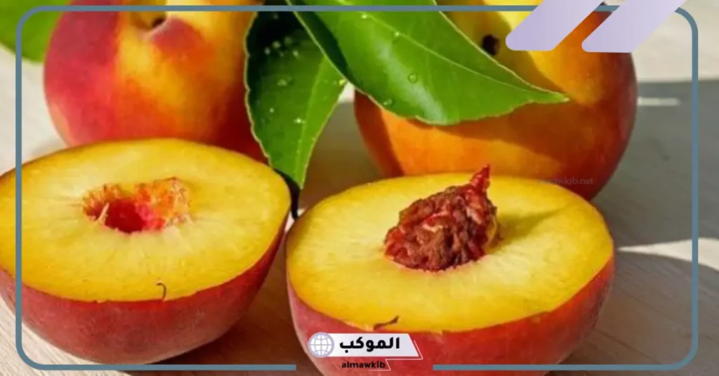 أخذ الدراق في المنام