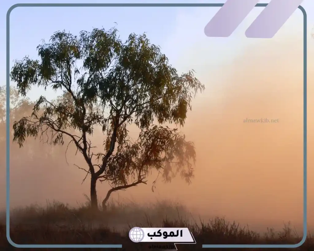 تفسير حلم الغبار على الأثاث
