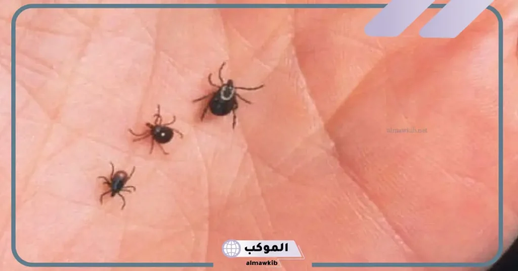 تفسير حلم حشرات على جسمي في المنام للمرأة والرجل 5 تفسير حلم حشرات على جسمي للمتزوجة