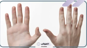 تفسير حلم كف اليد اليسرى