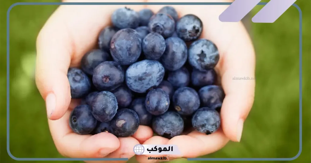 تفسير حلم أكل التوت من الشجرة للمتزوجة