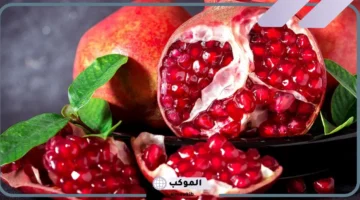 تفسير رؤية الرمان في المنام