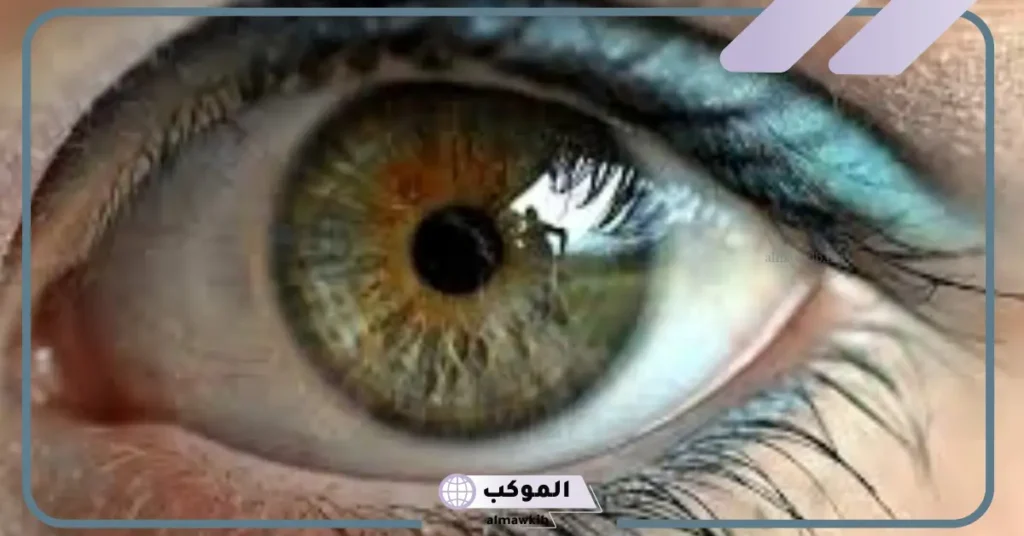 تفسير حلم العين في المنام لابن سيرين والنابلسي للمتزوجة والعزباء 5 العين في المنام للعزباء