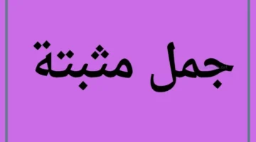 جمل مثبته ومنفيه