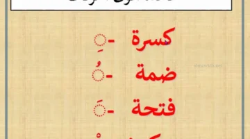 حركات اللغة