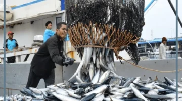 حلم اصطياد السمك