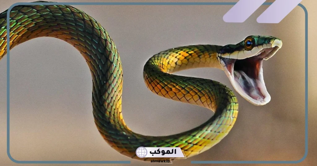 تفسير حلم لدغة الثعبان في القدم