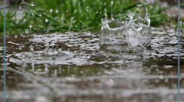 حلم هطول المطر