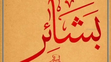 حلمت باسم بشاير