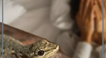 حلمت بالبرص في رؤيتي