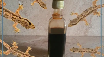 حلمت بالبريعصي