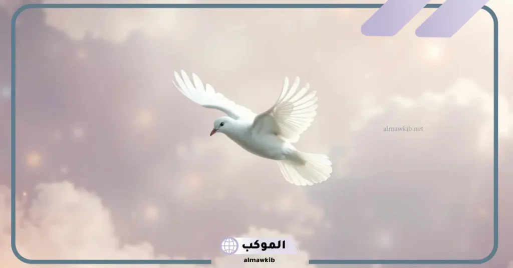 تفسير رؤية طيور الحمام الرمادي في المنام للعزباء