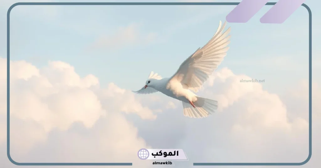 تفسير الحلم بحمامة بيضاء في المنام تطير للمرأة المتوجة والعزباء لابن سيرين 5 رؤية حمامة بيضاء في المنام للمتزوجة