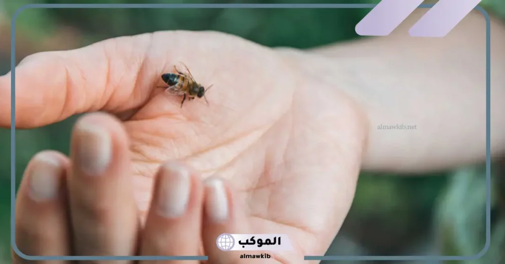 تفسير قرص النحل في المنام للعزباء