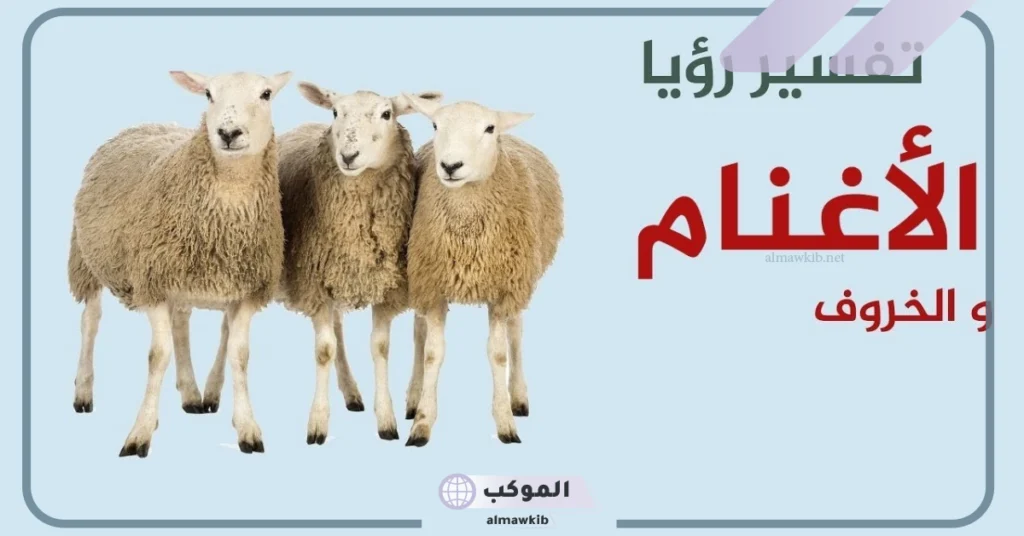 تفسير حلم رؤية الغنم في المنام للرجل والمرأة المتزوجة 5 رؤية الغنم في المنام للمتزوجة