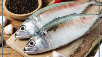 رؤية السمك النيء