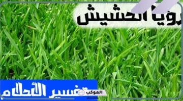 رؤية شخص يشرب الحشيش في المنام