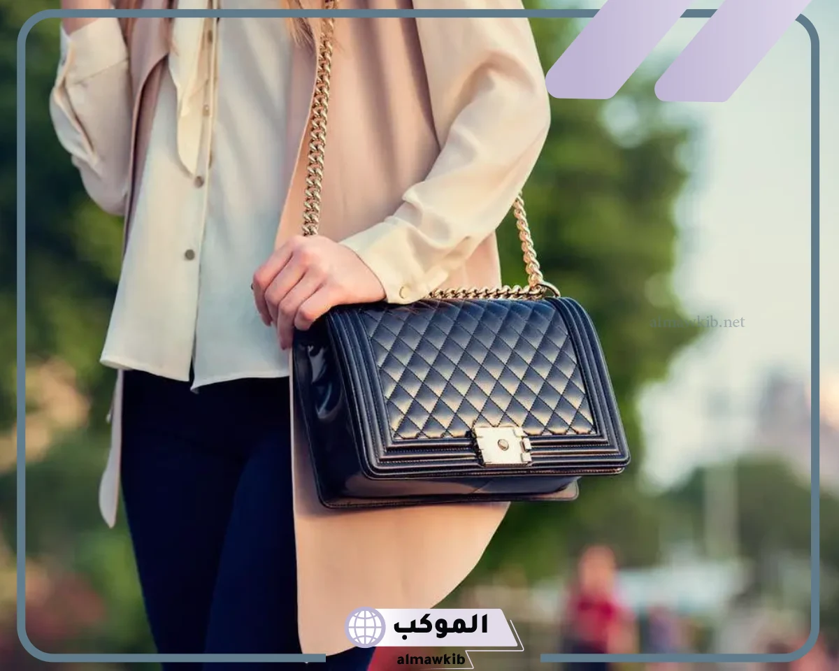 تفسير الشنطة في المنام للعزباء