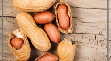 رؤية فول سوداني