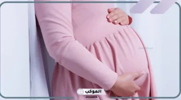 رمز الحمل في المنام لابن سيرين