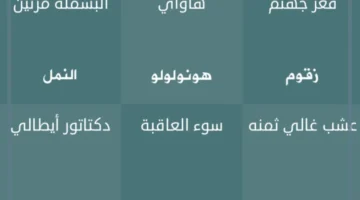 سوء العاقبة فطحل