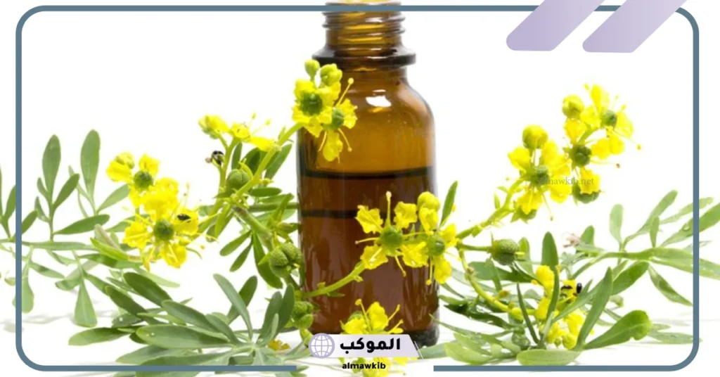 فوائد زيت الشذاب للعين والحسد